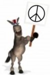 Democrats at Peace Rally